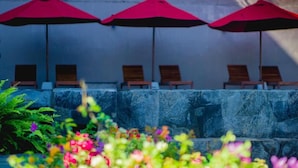 A row of wooden lounge chairs under red umbrellas, a stone wall, and a variety of colorful flowers in the foreground. - Ballena-Mirissa (Mirissa)