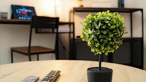 A round wooden table with a potted plant, a remote control, and a TV displaying the Netflix logo.