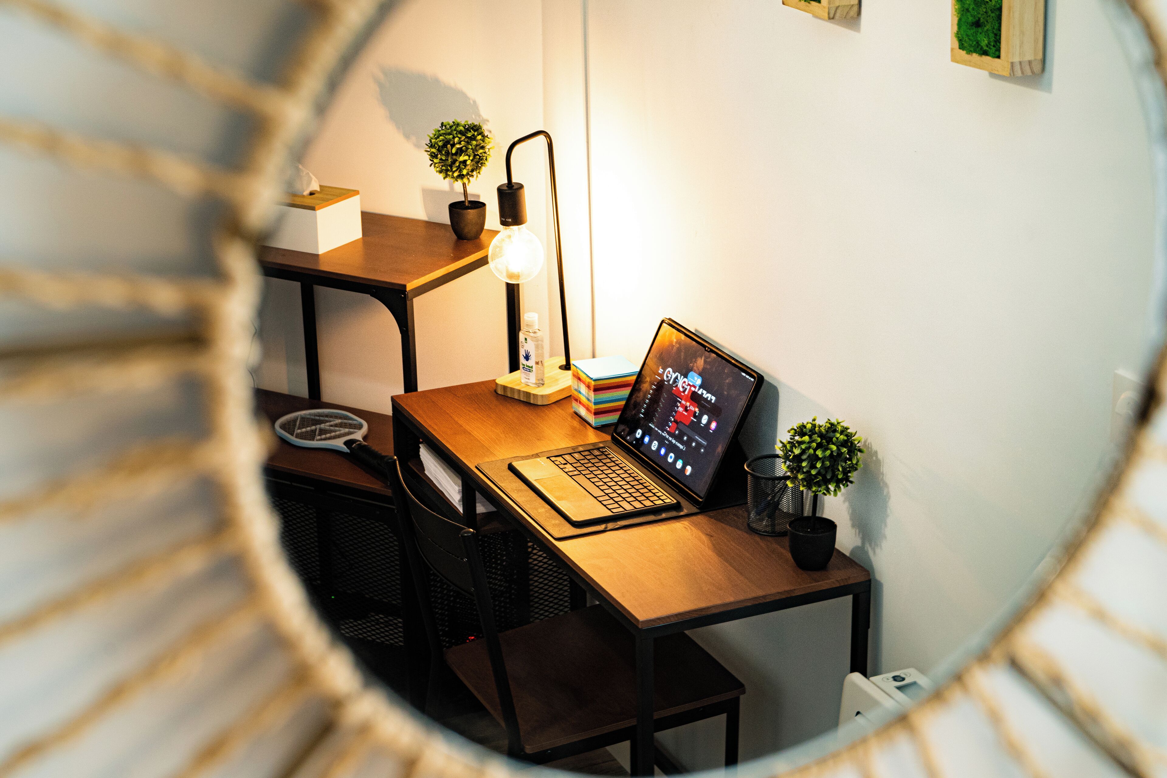 A workspace with a laptop, a desk lamp, two potted plants, and a tissue box.