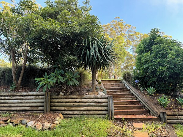 A wooden staircase leading up to a garden area with various plants and trees.
