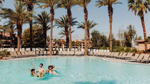 A swimming pool surrounded by palm trees and lounge chairs. - MARRIOTT SHADOW RIDGE STAGECOACH (Palm Desert)