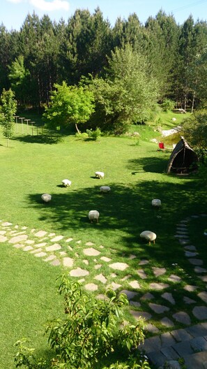 Property grounds - Omaya eco village (Hadjidimovo)