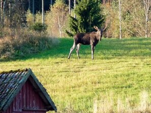 Exterior - 6 Person Holiday Home in Hunnebostrand (Kungshamn)