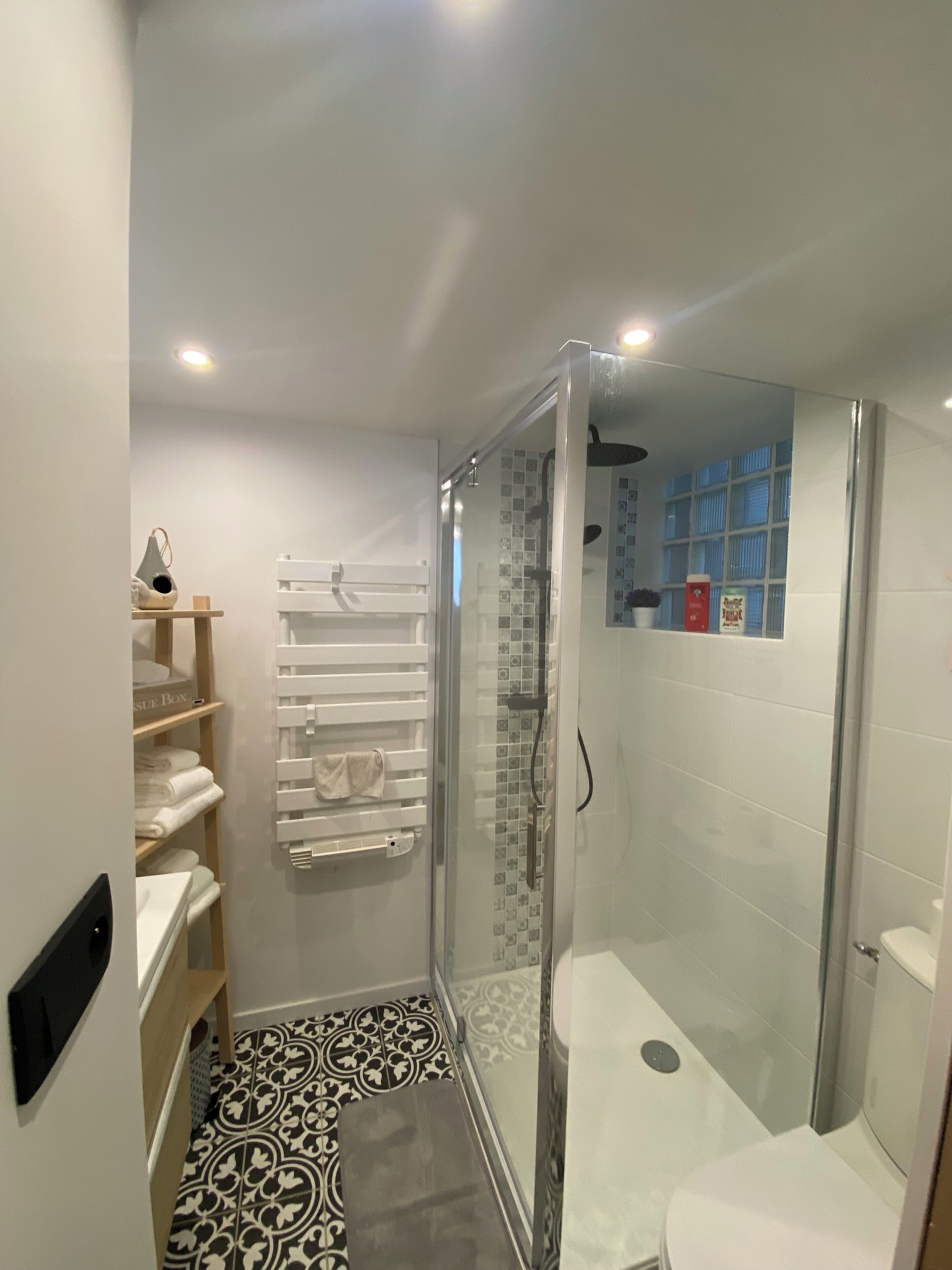 Regadera, secadora de cabello, toallas, jabón 