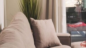 Beigenvärinen sohva, jossa on koristetyyny, korkea viherkasvi ja ikkuna, josta avautuu näkymä kiviseinälle ja vehreään maisemaan.