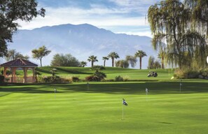 Golf - MARRIOTT SHADOW RIDGE
2-bedroom resort in charming Palm Desert with AC and gym (Palm Desert)