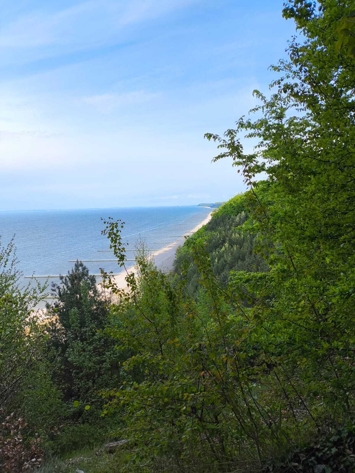 A coastal landscape with a beach and dense greenery.