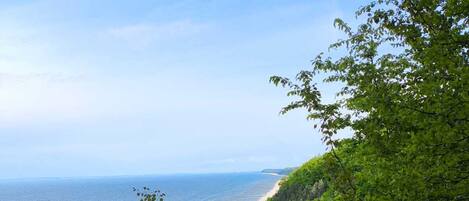 A coastal landscape with a beach and dense greenery.