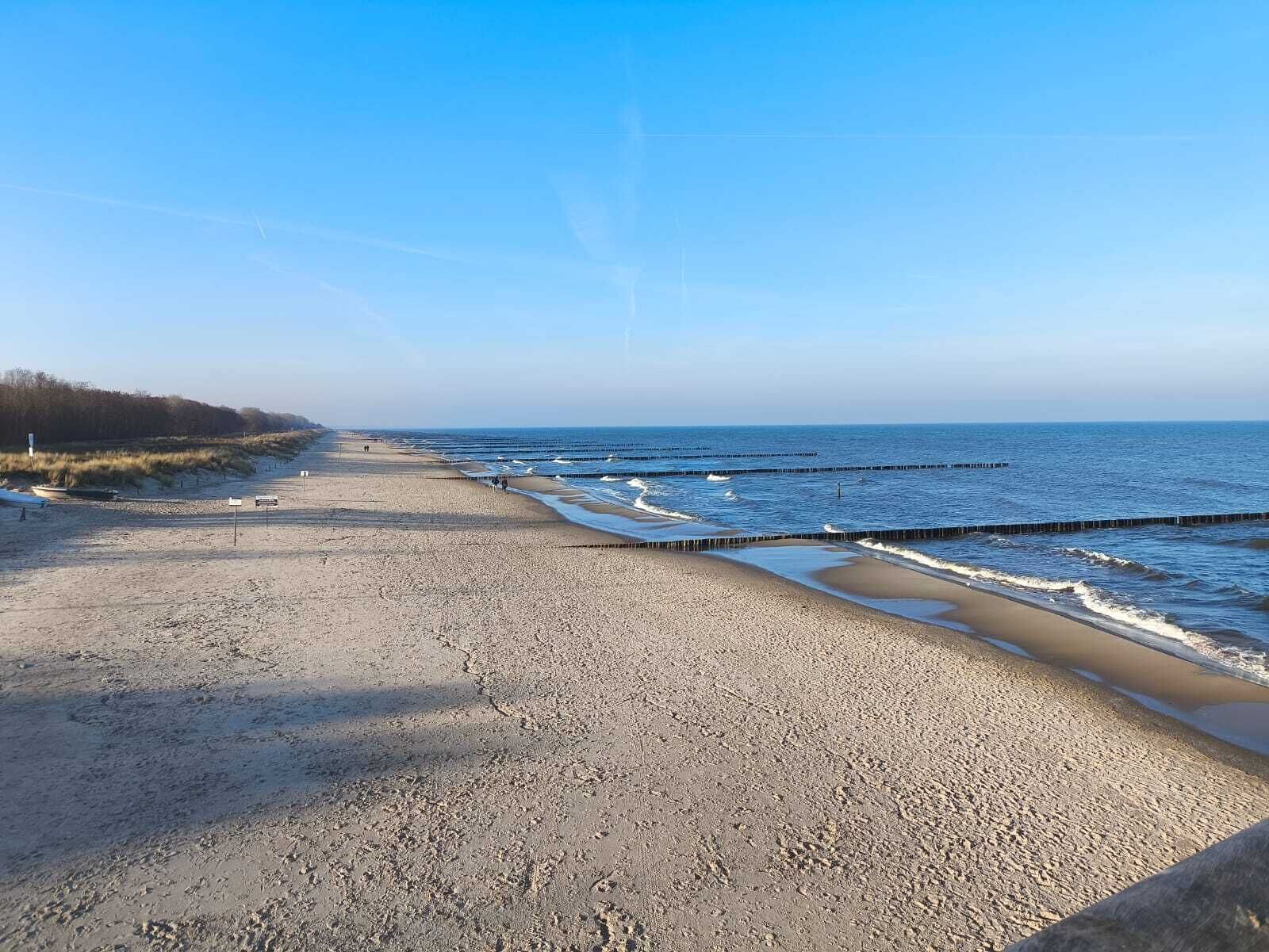 Un'ampia spiaggia sabbiosa con onde calme, cielo sereno e una foresta in lontananza.