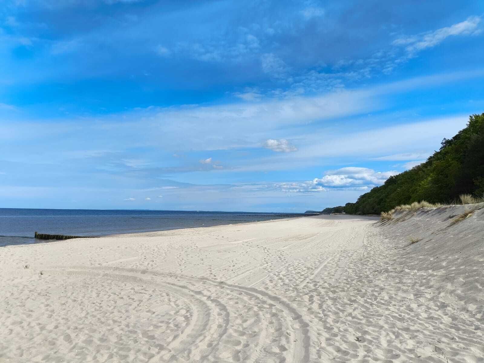 A wide sandy beach with tire tracks, a clear sky, and a forested area in the background.