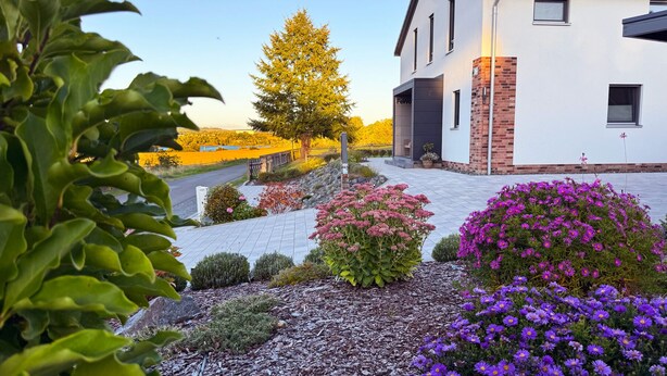 A modern house with a paved driveway, surrounded by flowering plants and a tree.