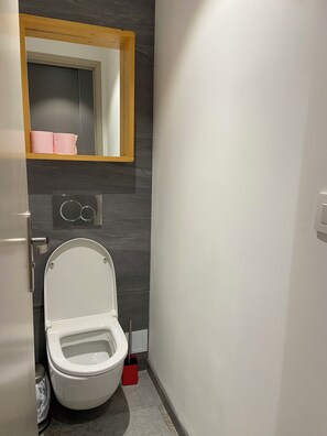 Douche, séchoir à cheveux, bidet, serviettes fournies