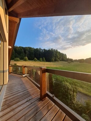 Terrace/patio - Exceptional vacation apartment in the Odenwald, near Darmstadt (Groß-Bieberau)