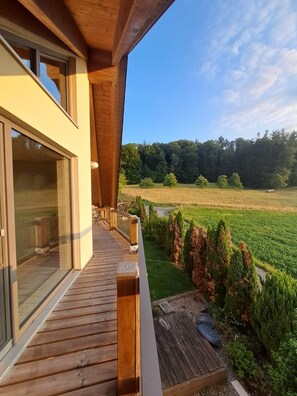 Terrace/patio - Exceptional vacation apartment in the Odenwald, near Darmstadt (Groß-Bieberau)