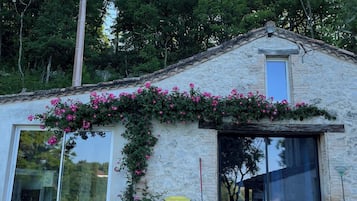 Detalle del exterior