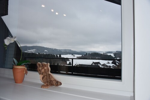 NEU !
Sonnige Wohnung mit Blick zum Feldberg, mit Sauna, Schwimmbad und Gym