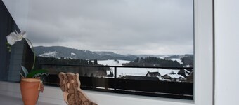 NEW! Sunny apartment with a view of the Feldberg, with sauna, swimming pool and gym