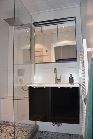 Shower, hair dryer