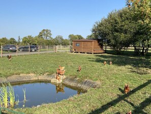 المنطقة المحيطة بالمنشأة