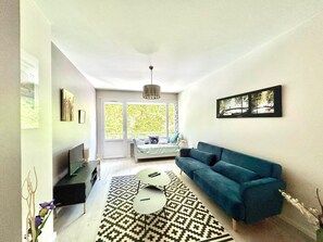TV - City Center Annecy Apartment with Parking and WIFI (Annecy)