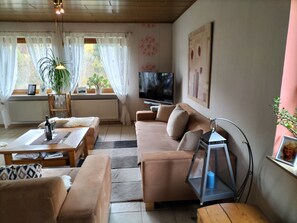 Smart-TV, Kamin