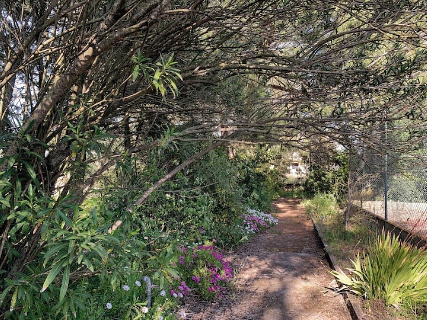 Jardines del alojamiento