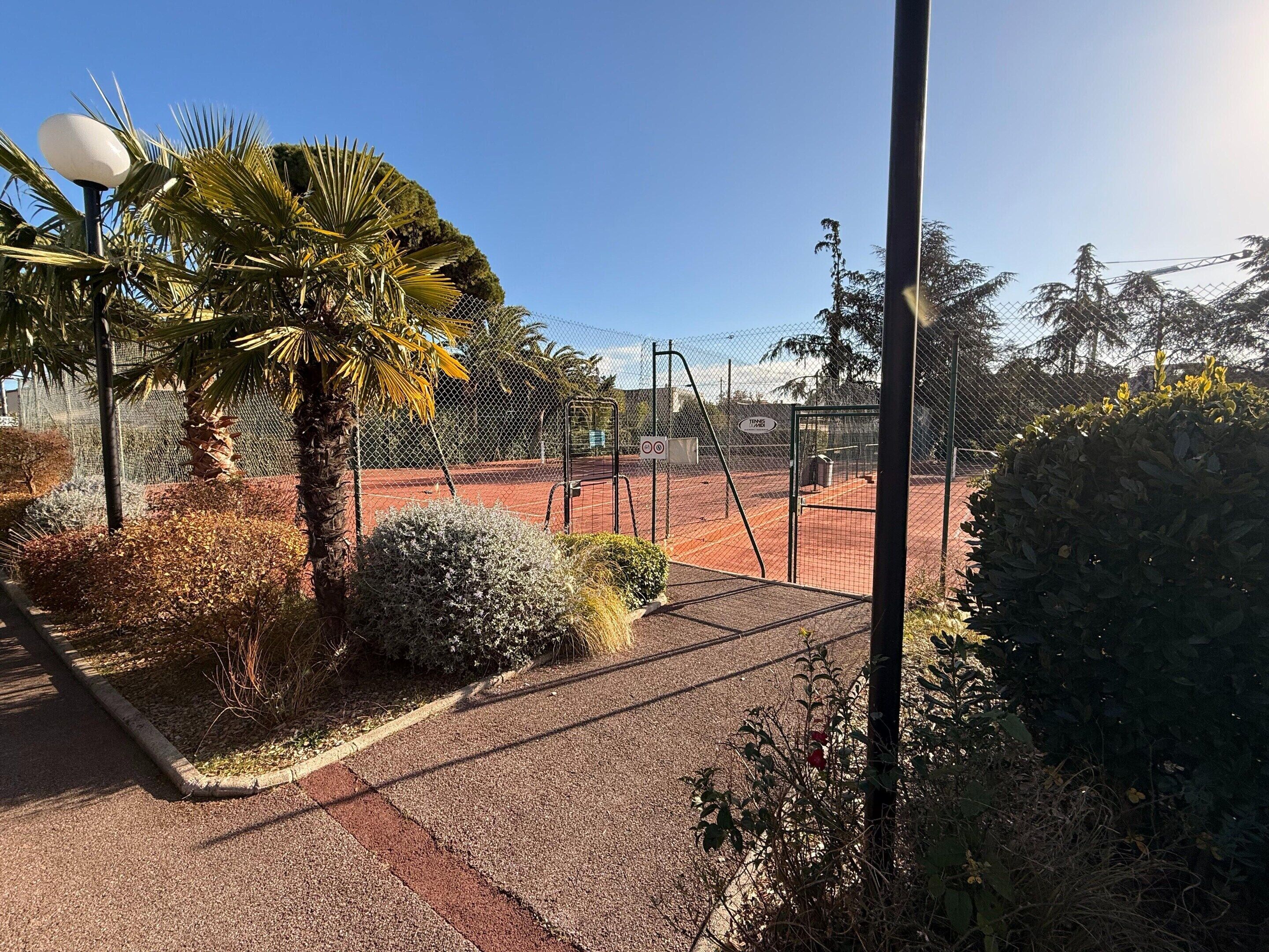 Un terrain de tennis entouré d’une clôture en treillis métallique, de palmiers et de divers arbustes.