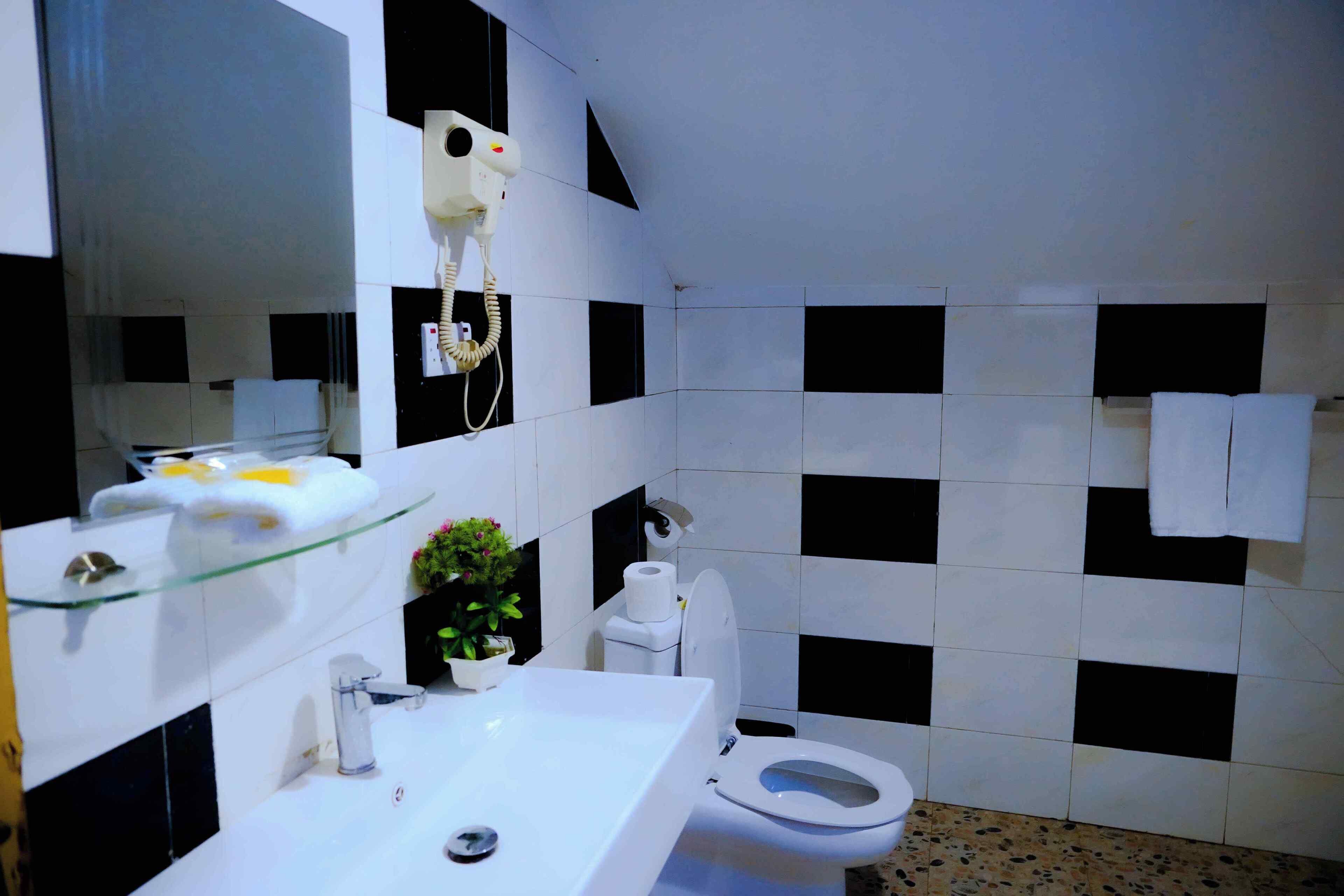 A bathroom with a white sink, a glass shelf, a hairdryer, a toilet, and a mirror.