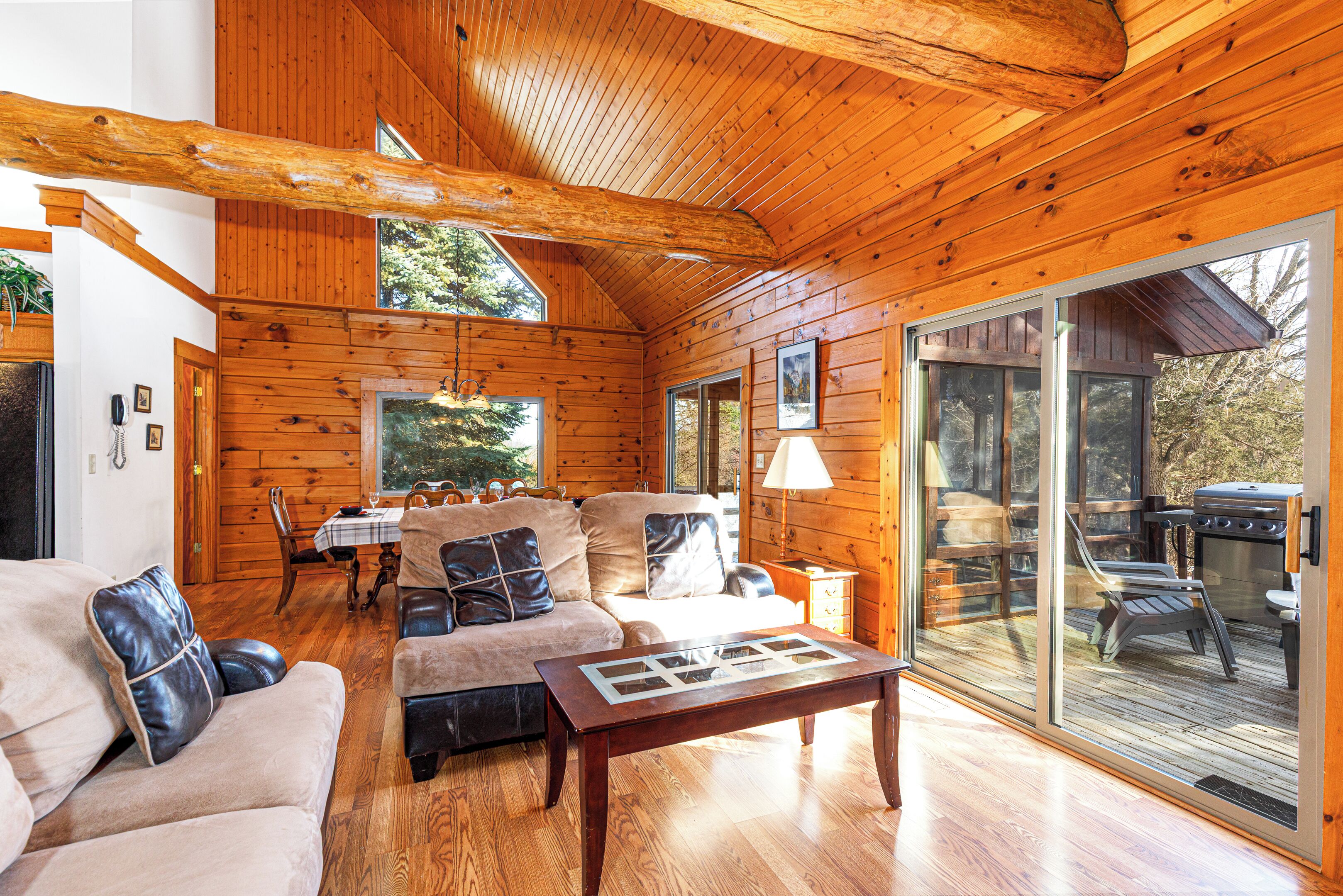 Televisión y chimenea 