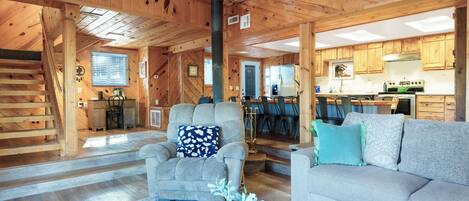 智能電視、壁爐、DVD 播放機、書籍