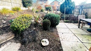 A garden with various plants and a wooden bench. - Dogs Welcome Peaks Retreat · Views · 3BR · Sleep 5 (Matlock)