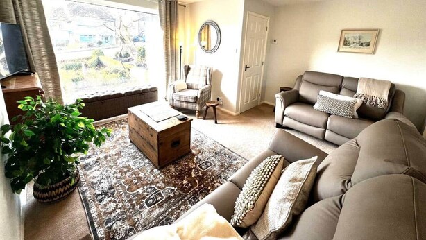 A living room with a sofa, a coffee table, a chair, a potted plant, and a rug. - Dogs Welcome Peaks Retreat · Views · 3BR · Sleep 5 (Matlock)