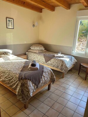 Fer et planche à repasser, Wi-Fi