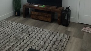 Un saló amb televisió de pantalla plana sobre un suport de fusta, una planta en test, una làmpada i un senyal que prohibeix fumar o utilitzar vapejadors a l'interior de la casa.