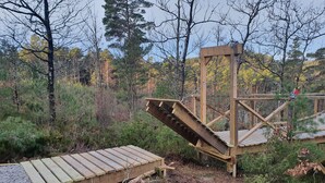 Une plateforme d’observation en bois, accessible par un escalier menant à une zone d’observation, est entourée d’une forêt dense.