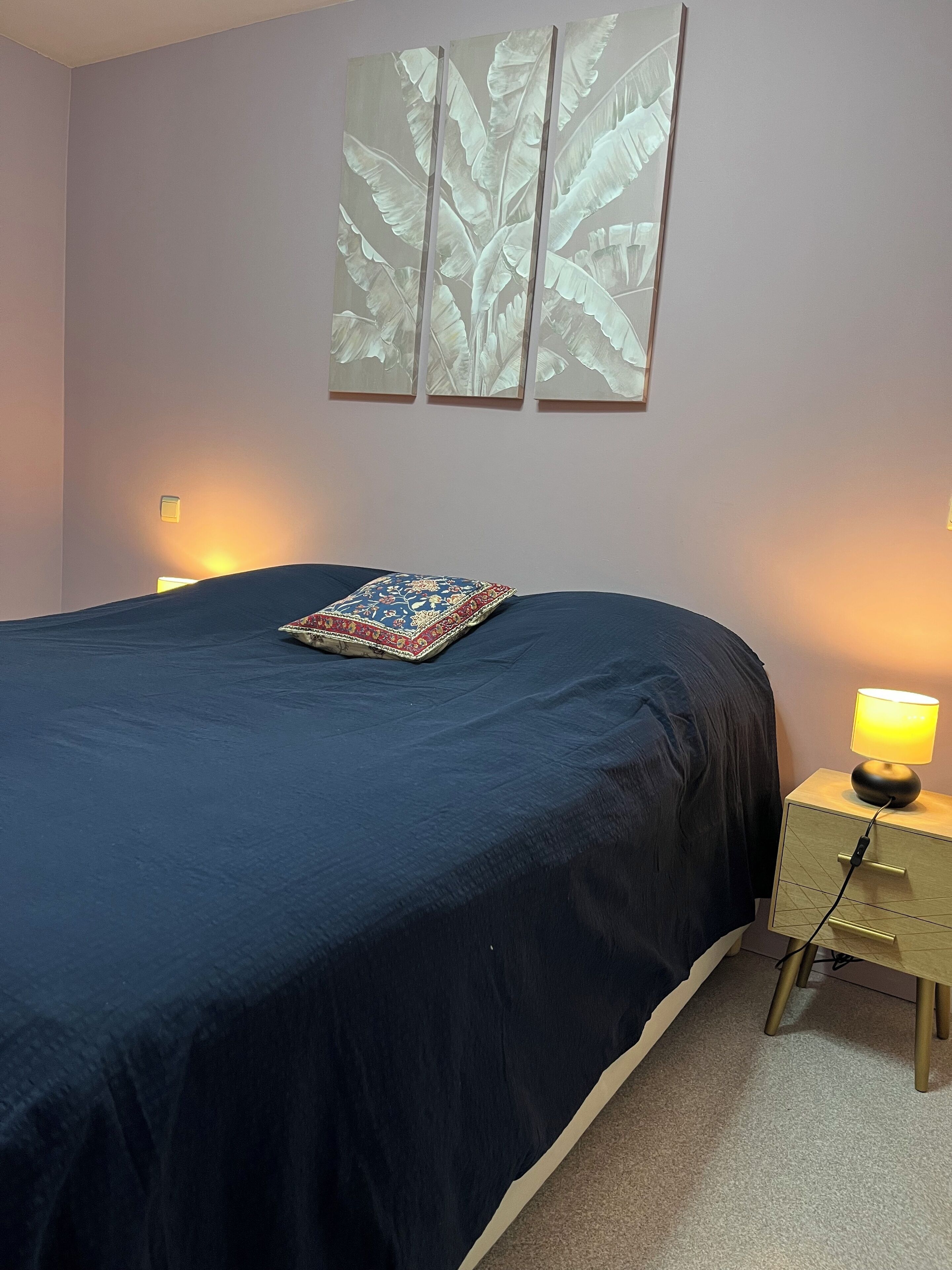 Iron/ironing board, WiFi, bed sheets