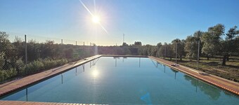 Finca El Palmar: Nature, swimming pool, barbecue in the countryside