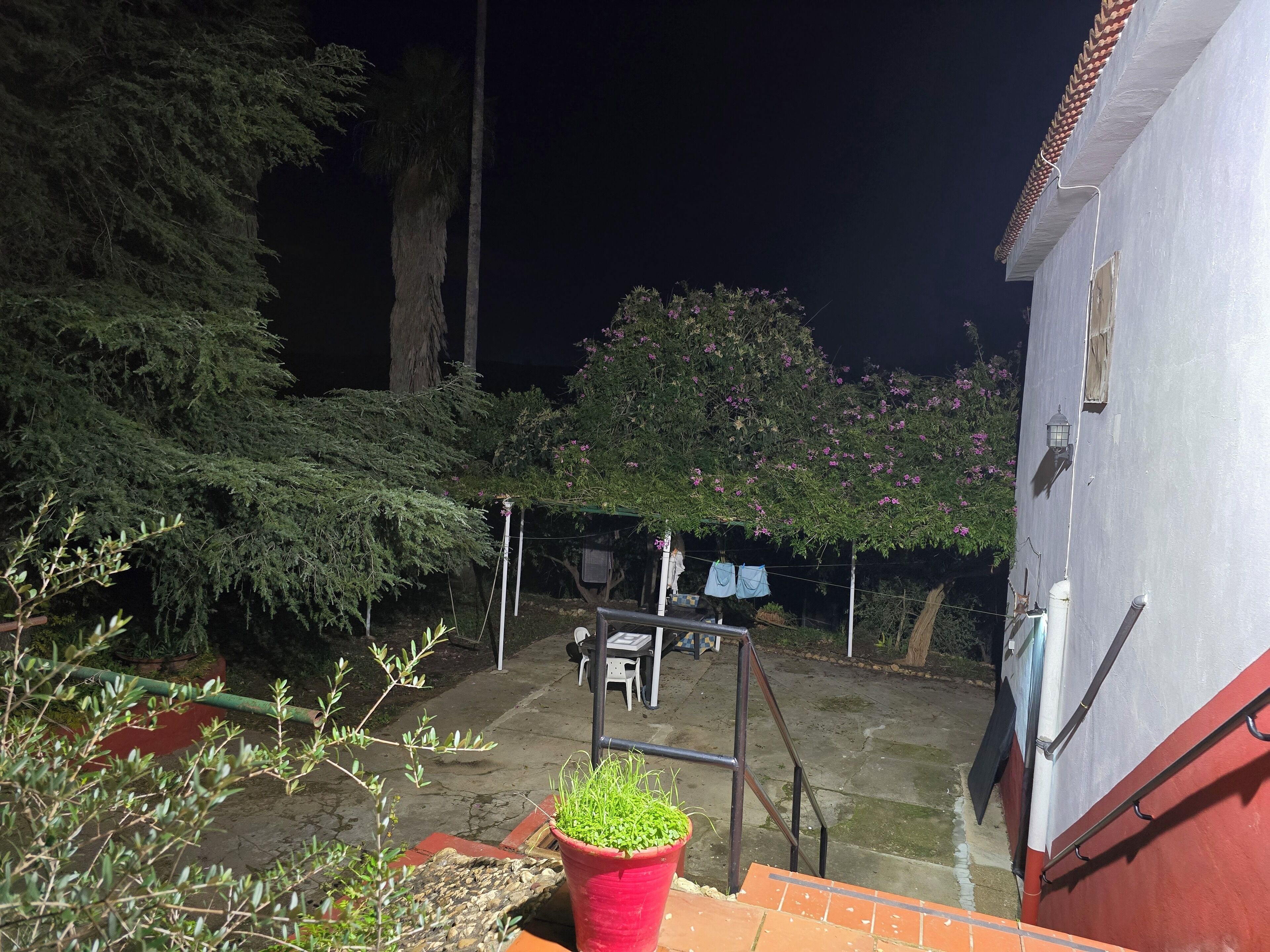 Terrein van de accommodatie