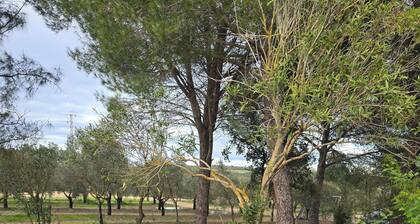 Finca El Palmar: Nature, swimming pool, barbecue in the countryside