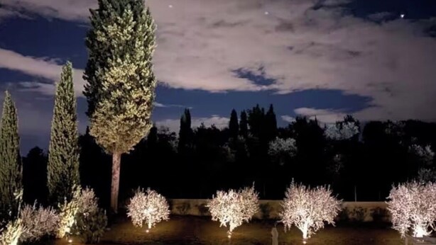 Un giardino curato con una piscina rettangolare, circondato da alberi e arbusti, sotto un cielo crepuscolare.