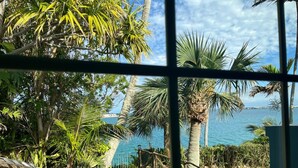 Vista de un exuberante jardín con palmeras y una masa de agua al fondo.