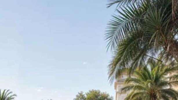 A landscaped outdoor area with palm trees, a well-maintained lawn, and a tiled patio. - Yashi Homestay Jaipur: A Peaceful Retreat in the Pink City (Jaipur)