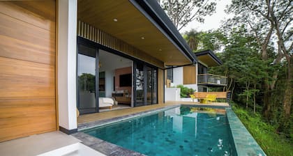 New 2-bedroom villa, ocean and jungle views, minutes to beaches with AC and gym