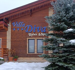 Exterior detail - Villa Diva (Budureasa)