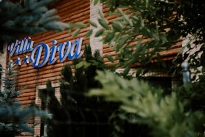 Exterior detail - Villa Diva (Budureasa)