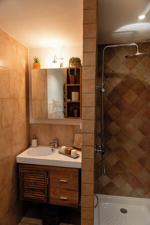 Shower, hair dryer, towels, soap - Charming house in camargue jacuzzi sauna and private pool (Vauvert)