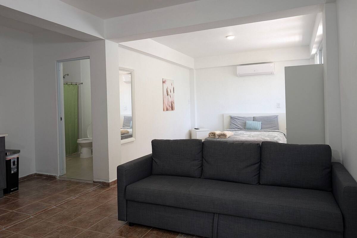 A modern bedroom with a bed, a grey sofa, a green shower curtain, and a white wall with a picture.