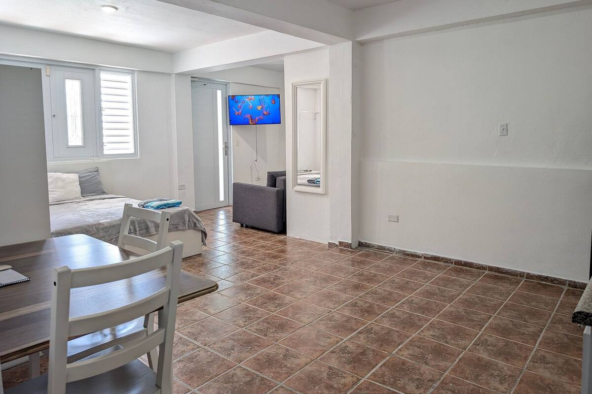 A room with a bed, a TV, a dining table, and a chair.