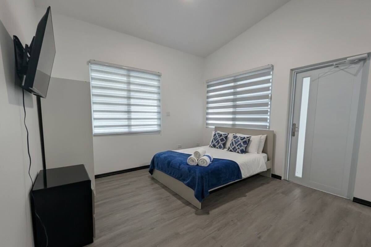 A bedroom with a bed, a TV, and a door.