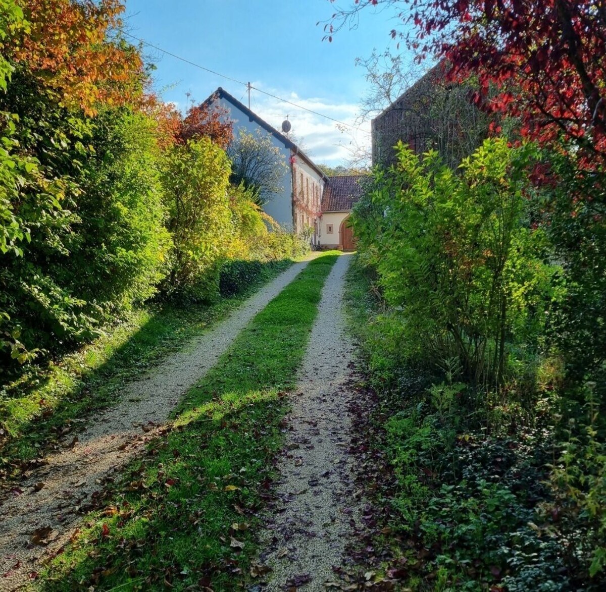 Bild für Gastgeberprofil